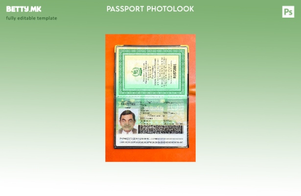 Модерен стил Пакистански пасош сегашна верзија шаблон photolook